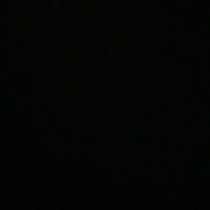 Meet your Posher, Zoey